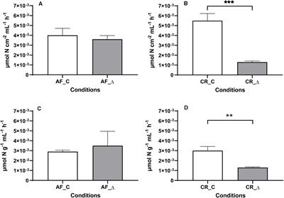 The Response of Estuarine Ammonia-Oxidizing Communities to Constant and Fluctuating Salinity Regimes